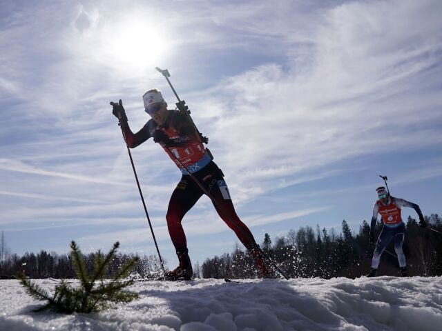 Biatlon, ilustračná