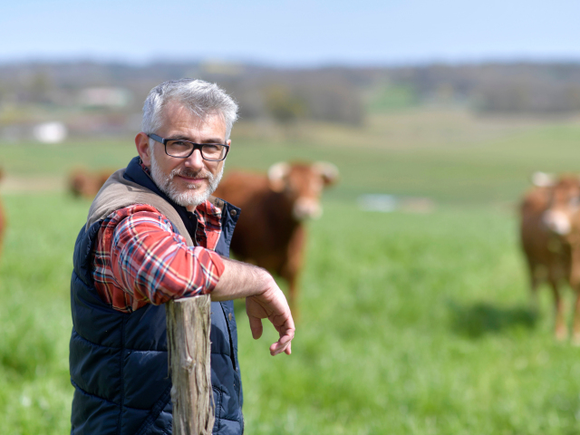 farmár, kravy, urbár, poľnohospodár