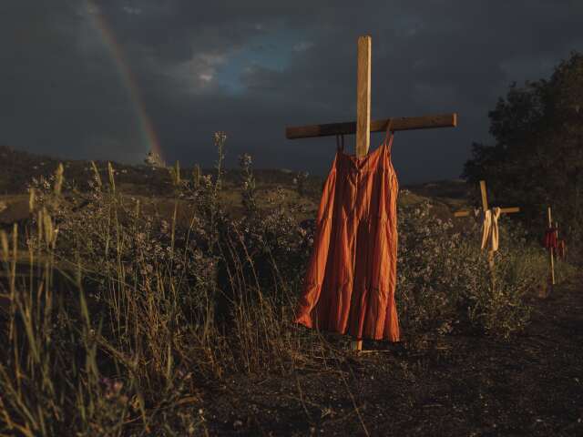World Press Photo