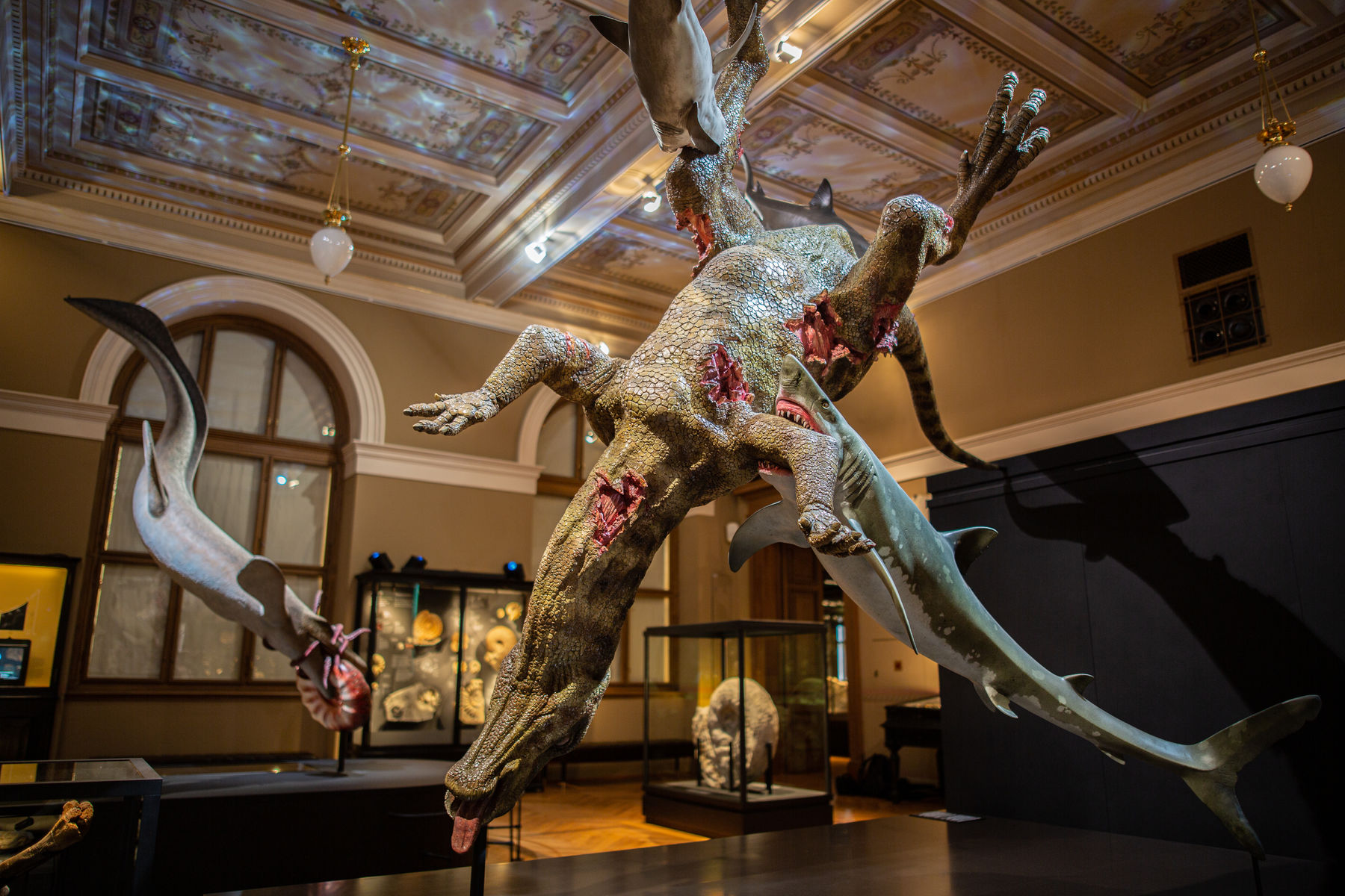 Jediný český dinosaurus Burianosarus augustai, ktorého zdochlinu žerú žraloky.