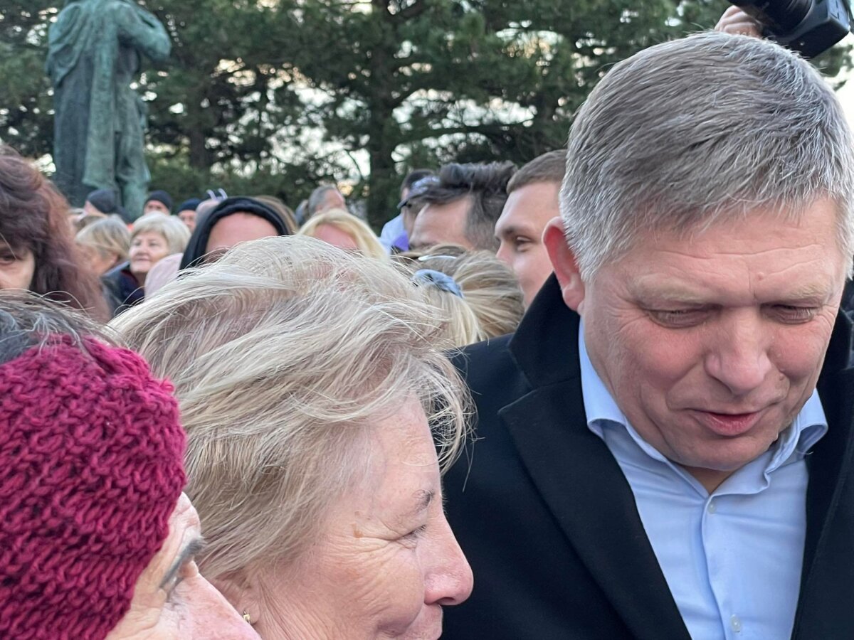 Smer, protest, Slavín
