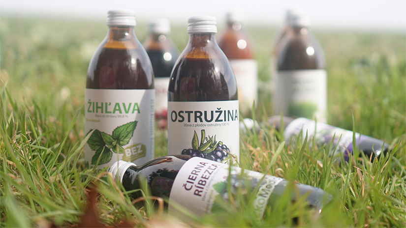 Vitamín C potrebujú nielen vaše deti. Okrem rakytníka môžete skúsiť ostružinu či čiernu ríbezľu.