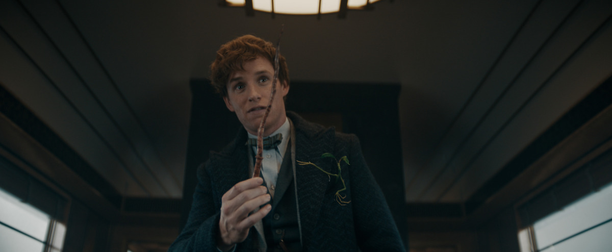 Fantastické zvery, Tajomstvá Dumbledora
