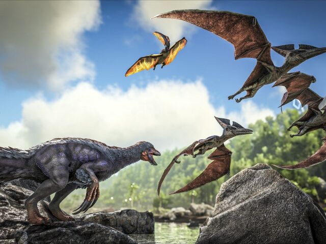 ark