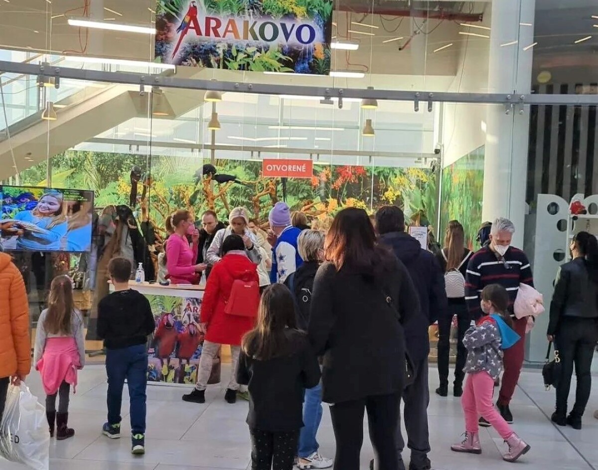 Arakovo, papagáje