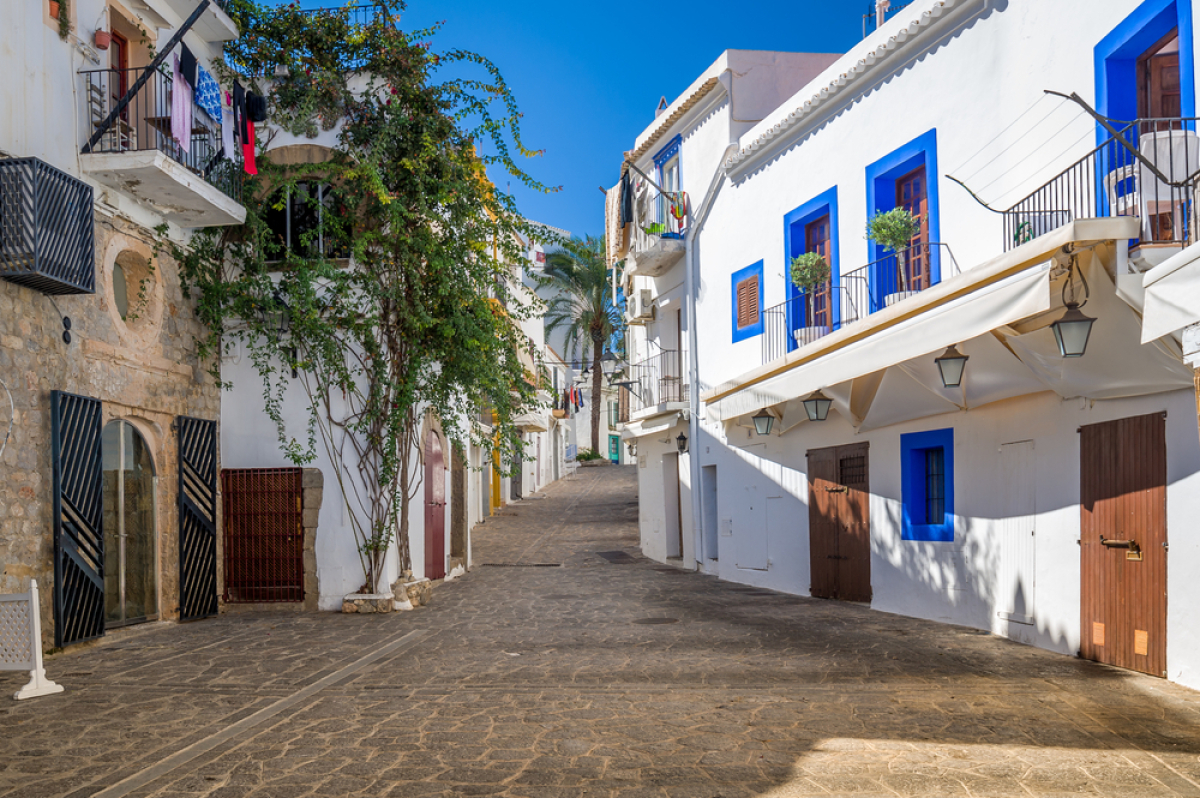 NEPOUZ, Ibiza