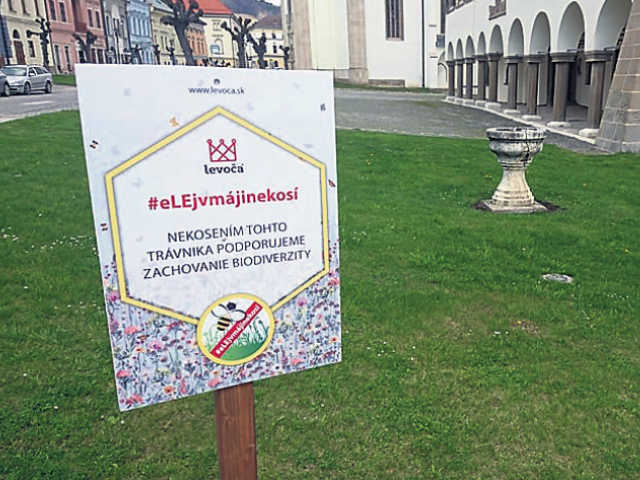Levoča, včely, kosenie