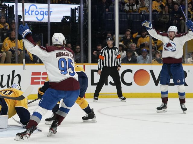 Avalanche, Predators