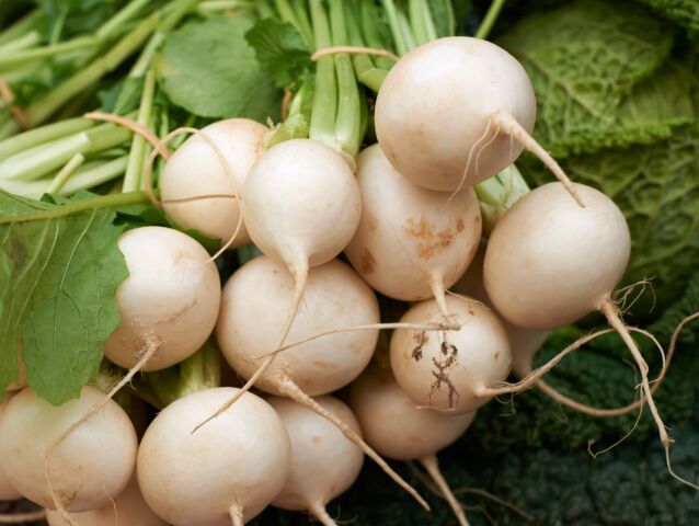 vodnica