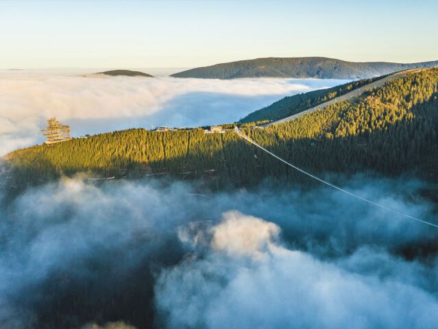 Sky Bridge 721
