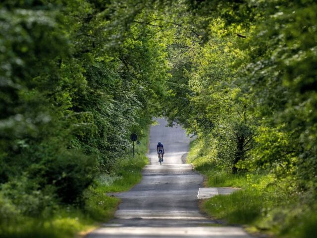 cyklista, cyklistika, bicykel, bicyklovanie