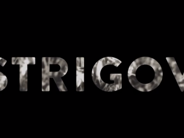 Strigov