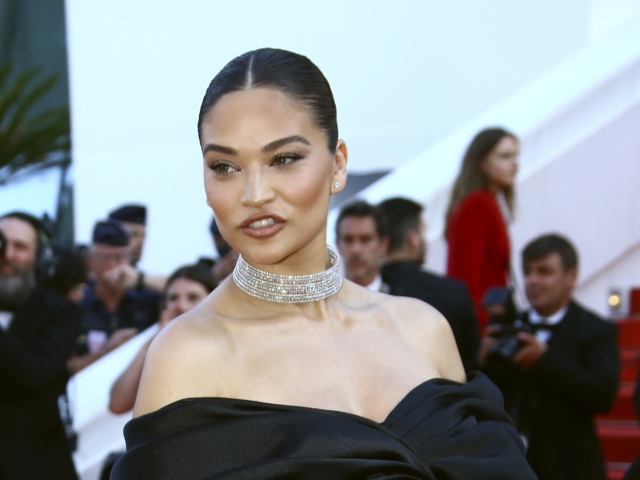 Shanina Shaik