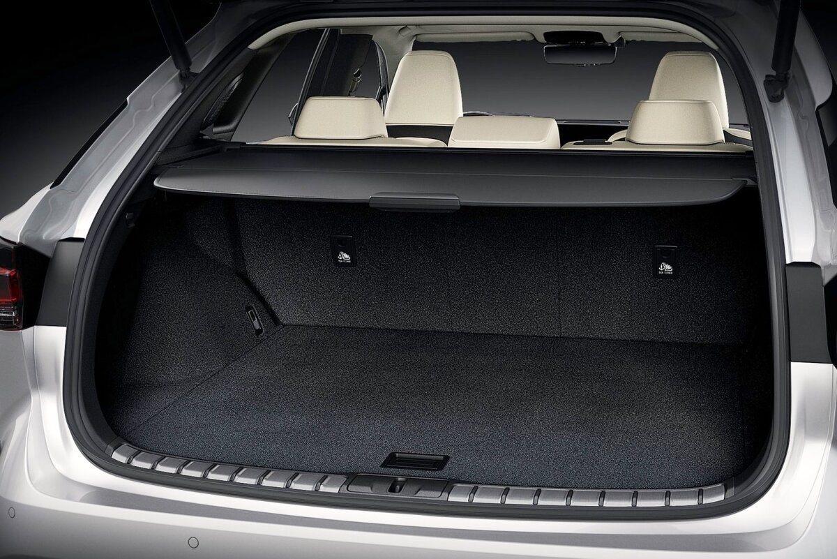 Lexus RX - 2022