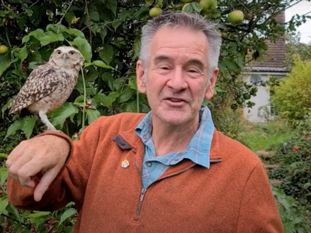 nigel marven
