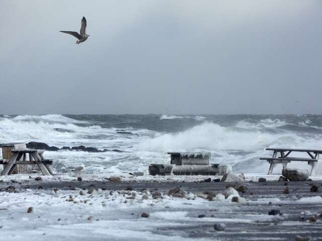 bornholm