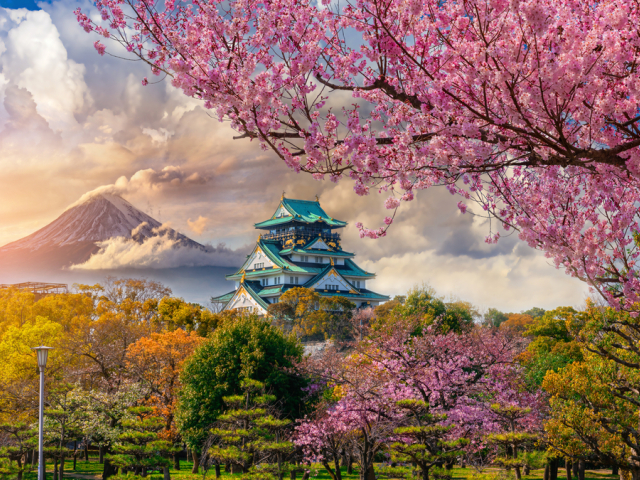 Japonsko, Osaka, Fudži, Fuji, čerešne, sakura