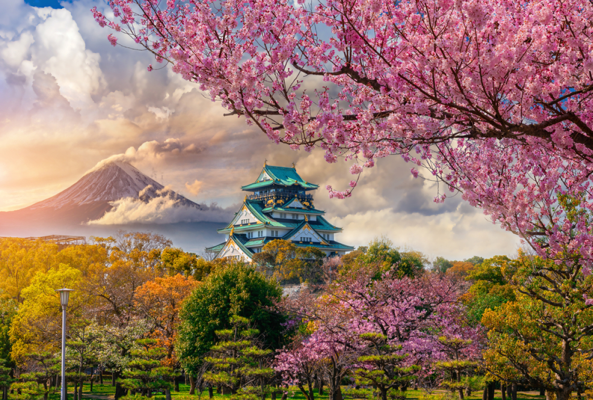 Japonsko, Osaka, Fudži, Fuji, čerešne, sakura