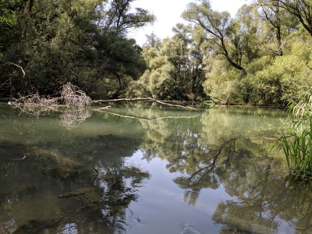 Dunaj, rieka