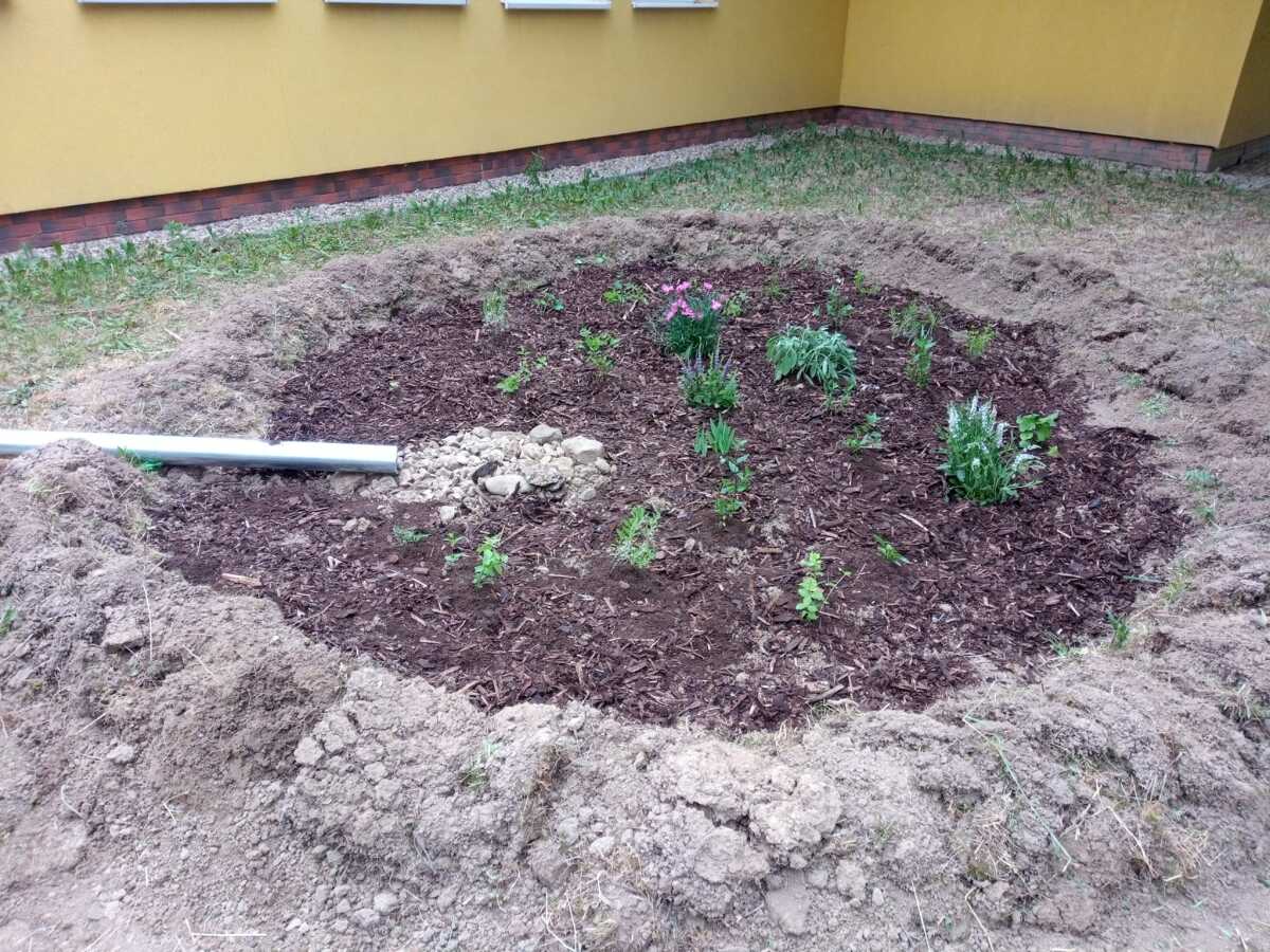 Dažďové záhrady vracajú vodu do prírody, Dobrovoľnícke centrum Košického kraja
