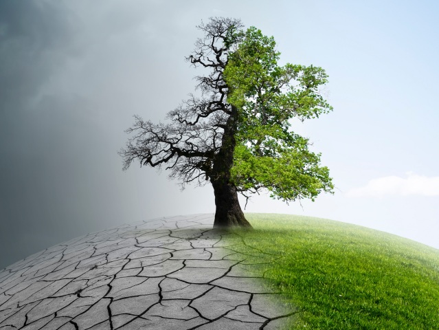 zmena klimy  klimaticka zmena  klima