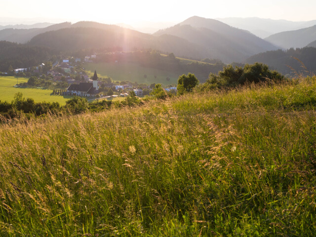stranik, zilina