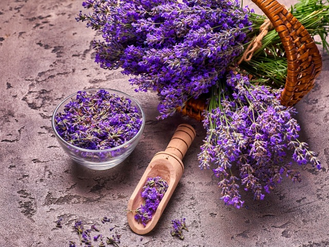 levandula, varecha,