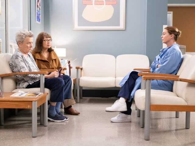 greys anatomy,