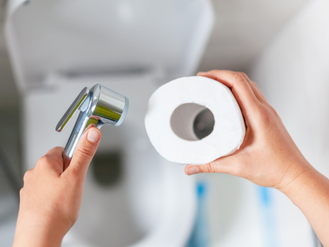 toaleta, záchod, toaletný papier, WC sprcha, WC, hygiena konečníka