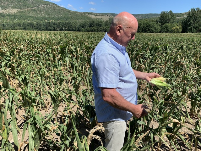 Agrodružstvo Turňa nad Bodvou