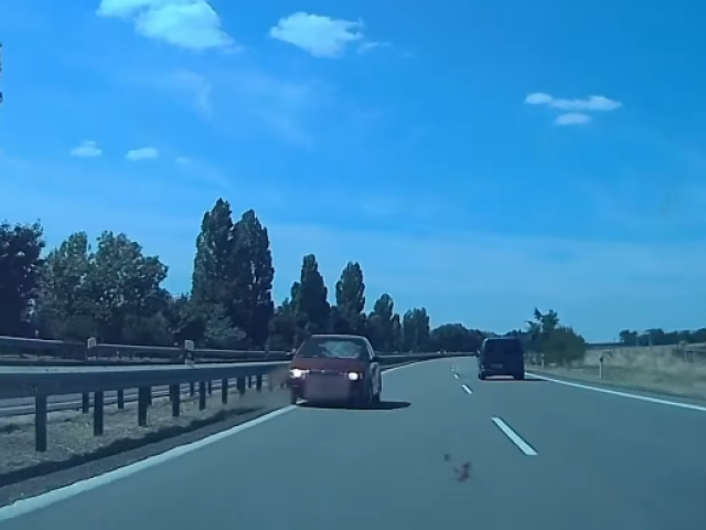auto, protismer