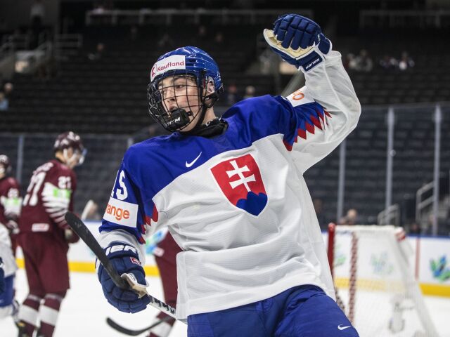 MSJ hokej Slovensko dvorský