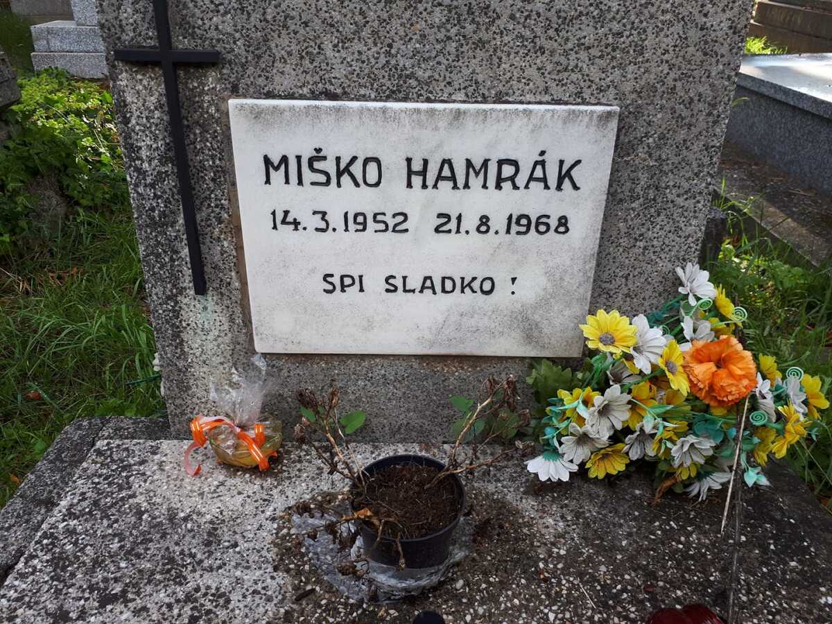 August 1968, Michal Hamrák