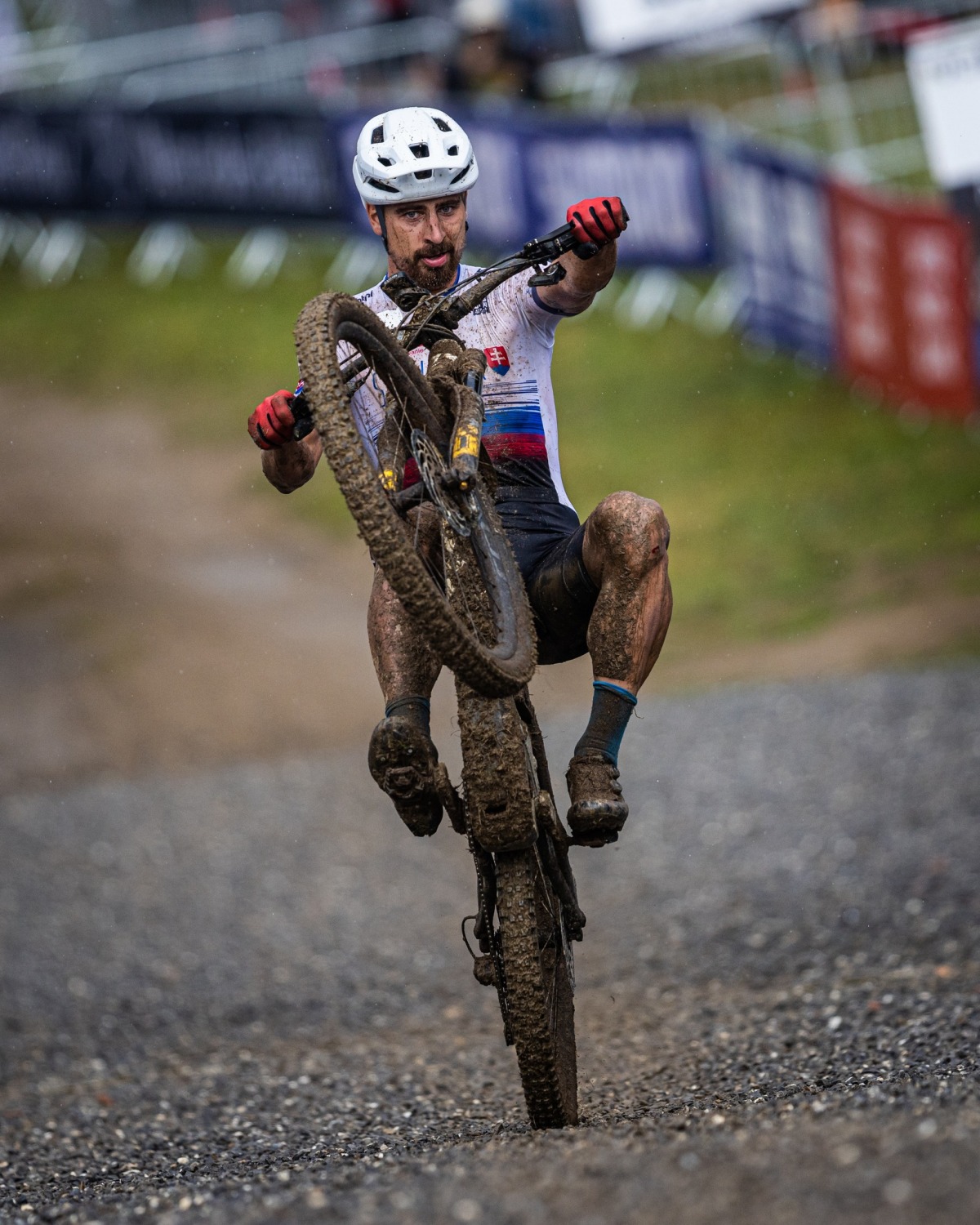 Peter Sagan