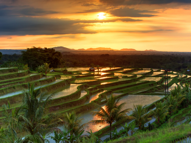 NEPOUZ, Bali, Thajsko