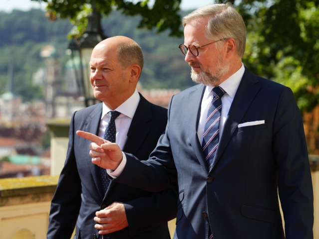 scholz, fiala
