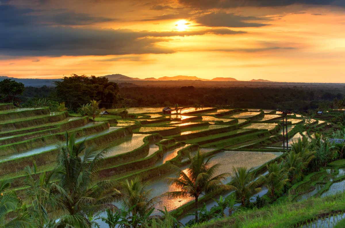 NEPOUZ, Bali, Thajsko