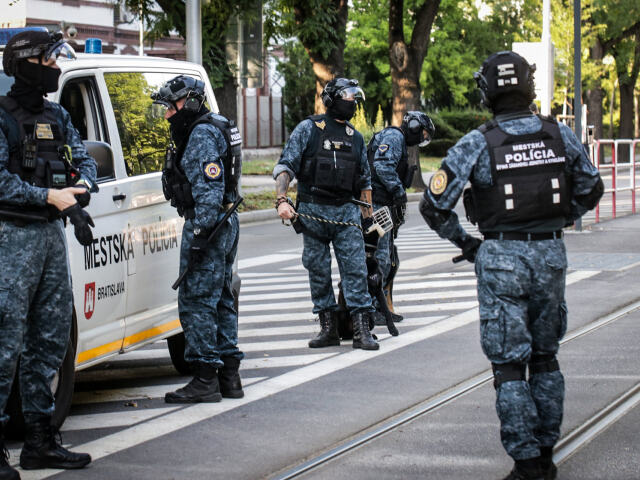 mestska policia