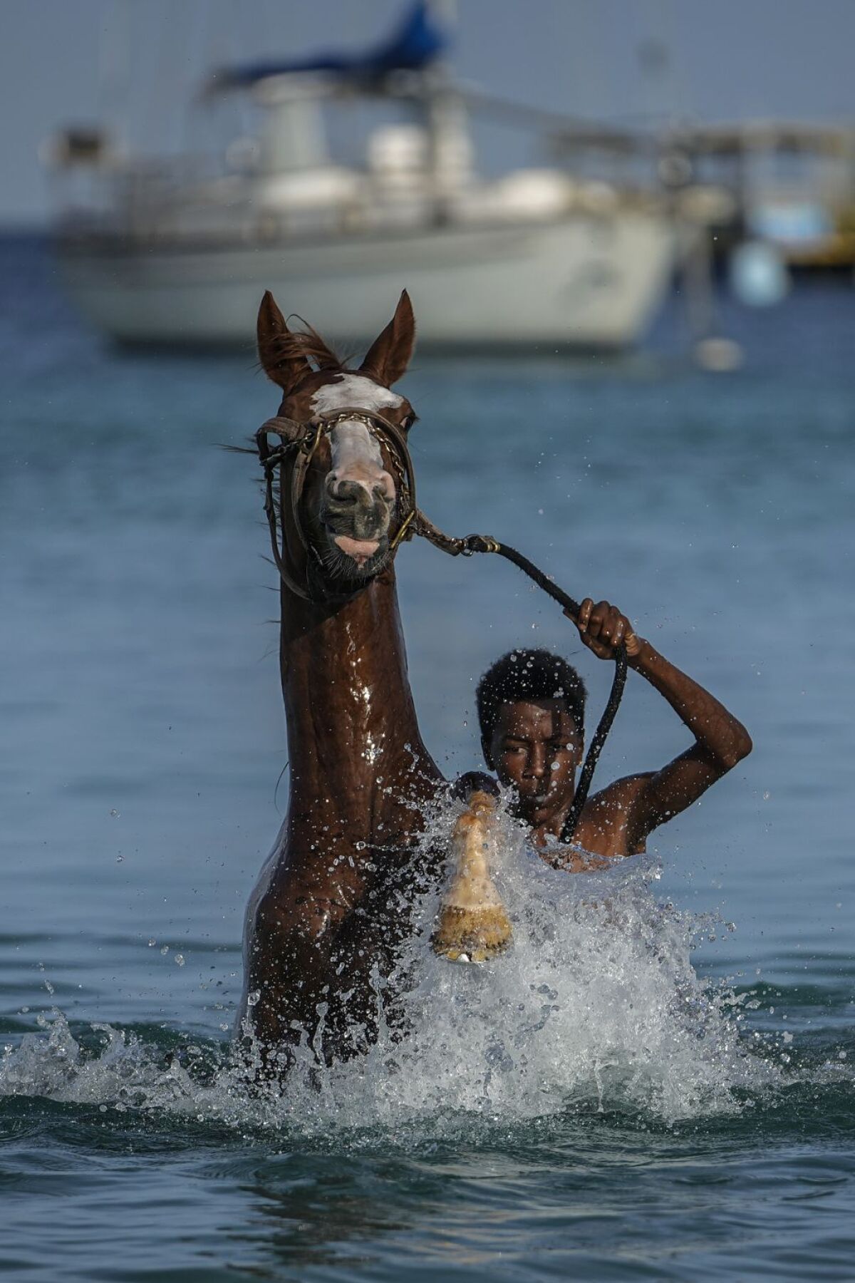 Barbados, kone