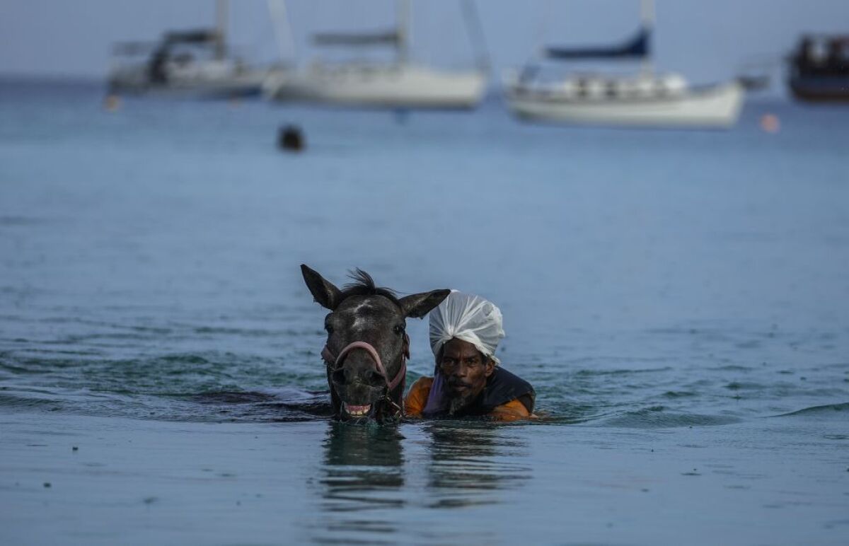 Barbados, kone