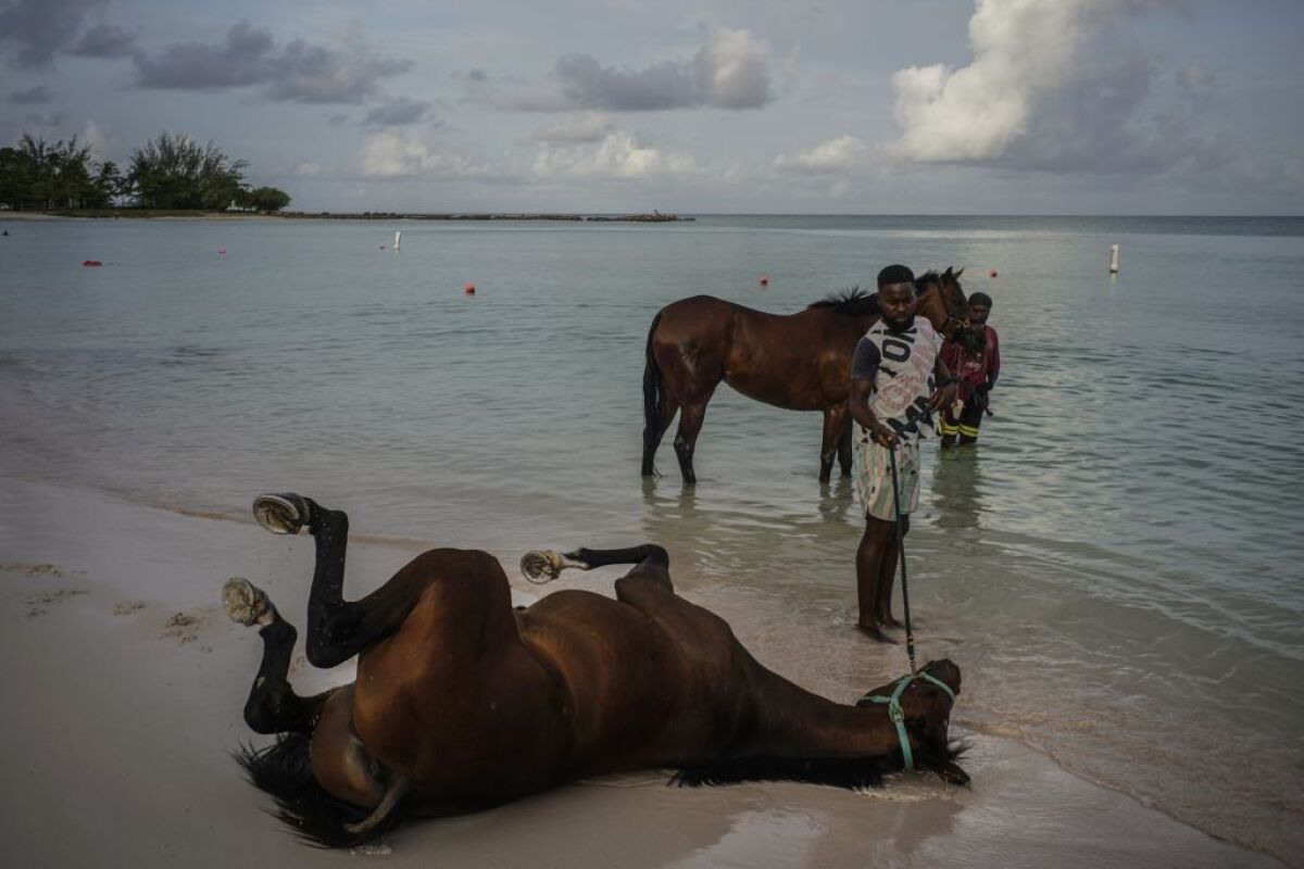 Barbados, kone