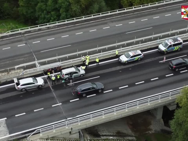 migranti