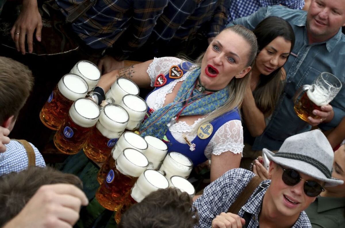 Oktoberfest, pivo