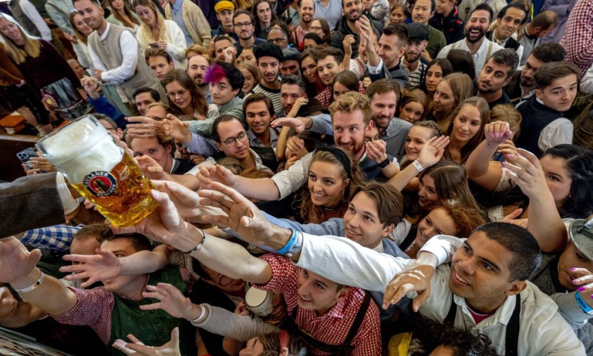 Oktoberfest, pivo