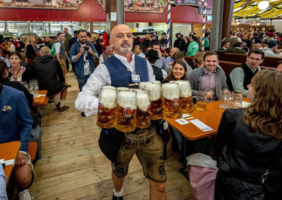 Oktoberfest, pivo