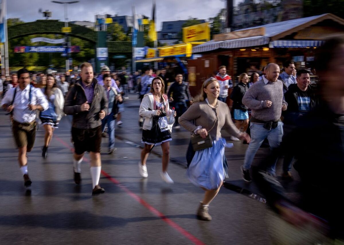 Oktoberfest, pivo