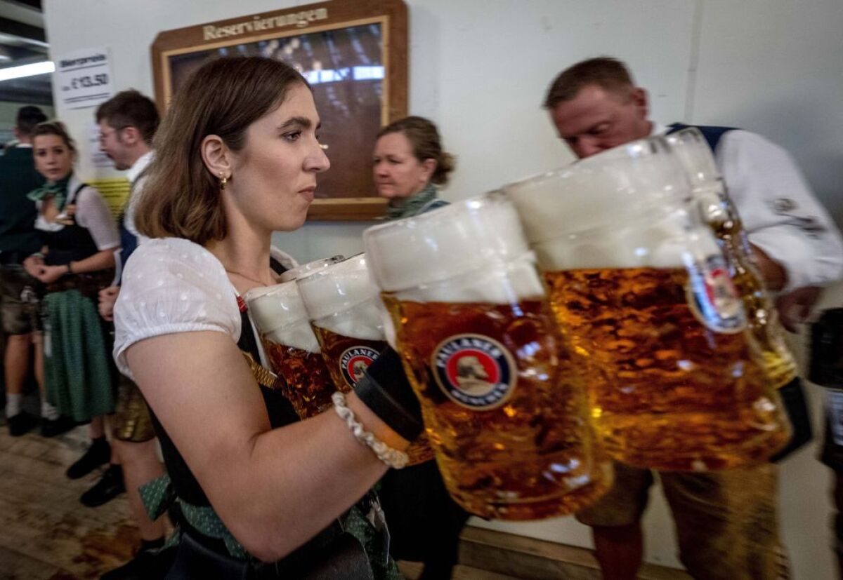 Oktoberfest, pivo