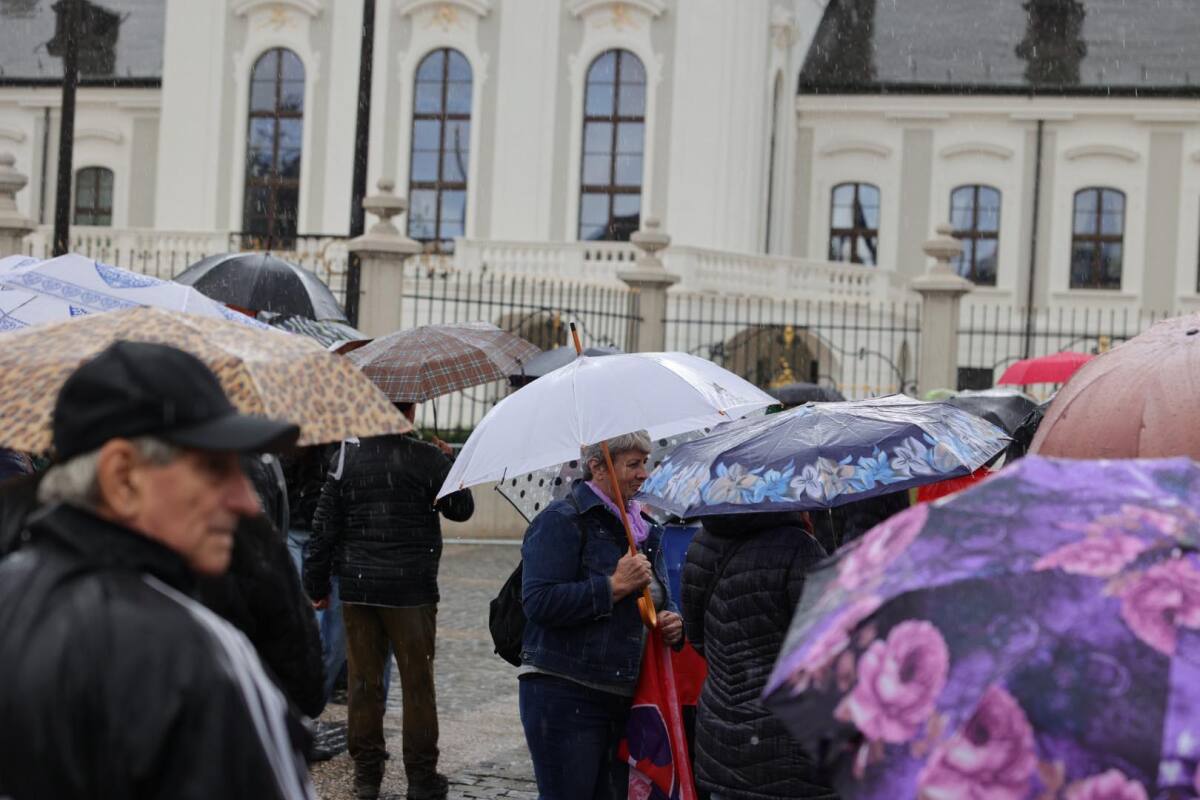 Protest / Antivláda /