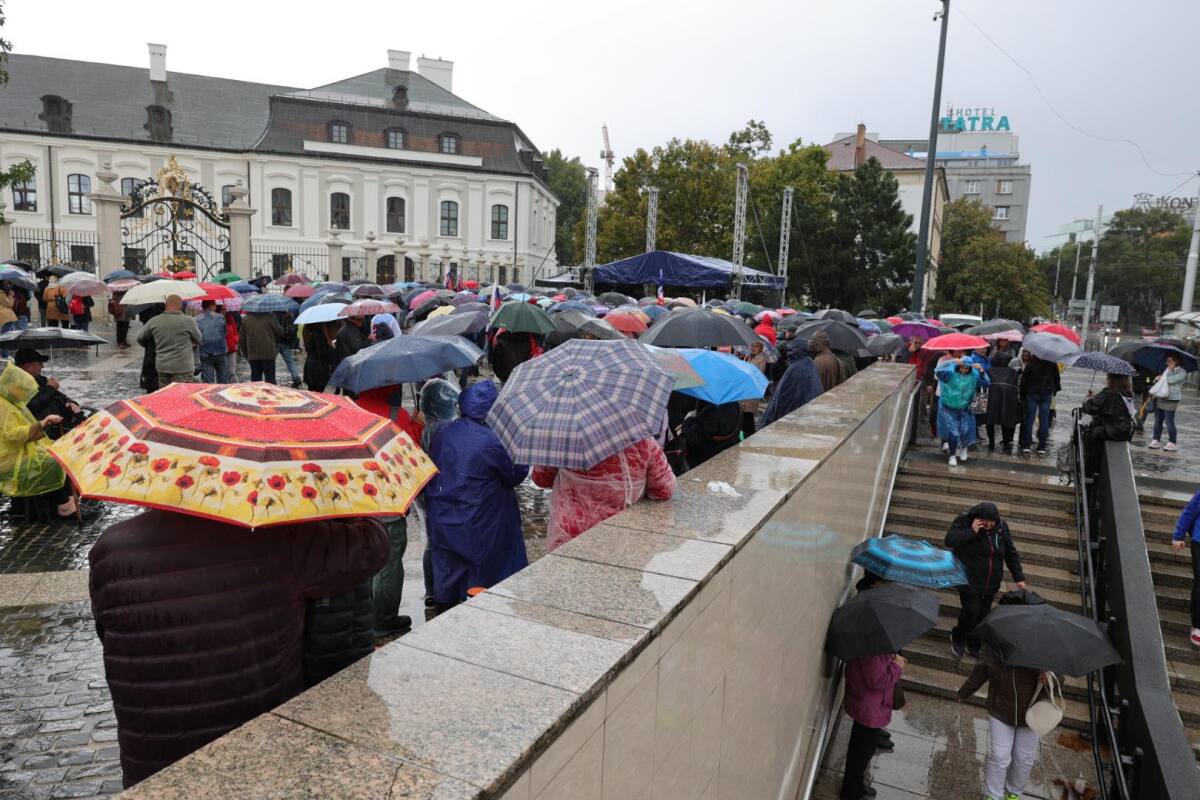 Protest / Antivláda /