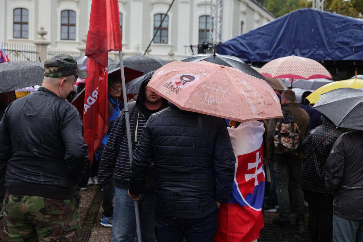 Protest / Antivláda /